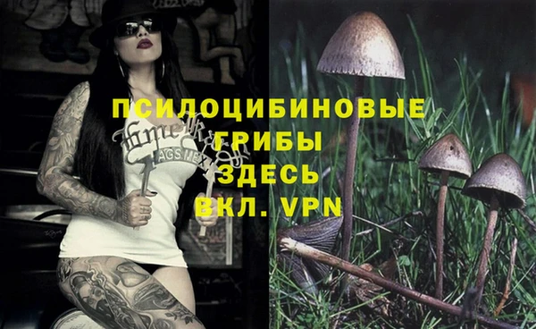 амф Абаза